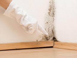 Best Commercial Mold Inspection  in Ocean Pines, MD